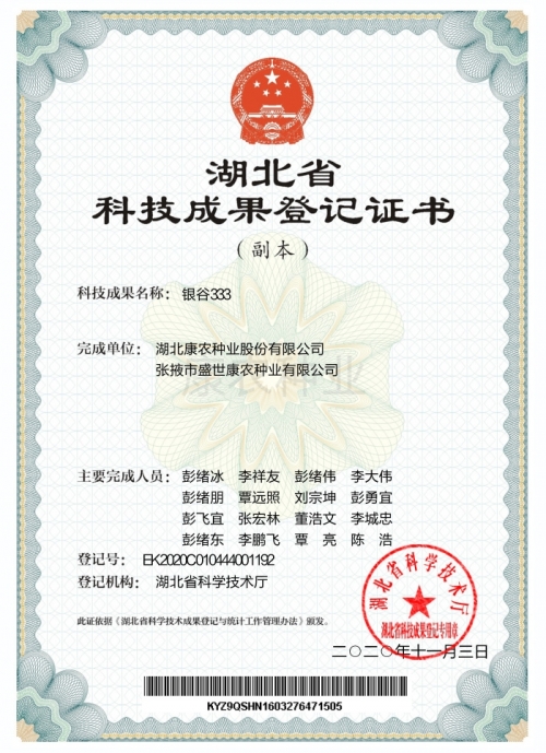Silver Valley 333[Registration Certificate]