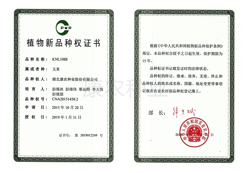 FNL1088 Plant New Variety Right Certificate