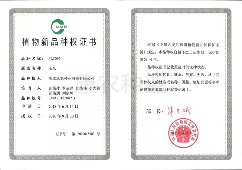 FL3095 Plant New Variety Authorization Certificate