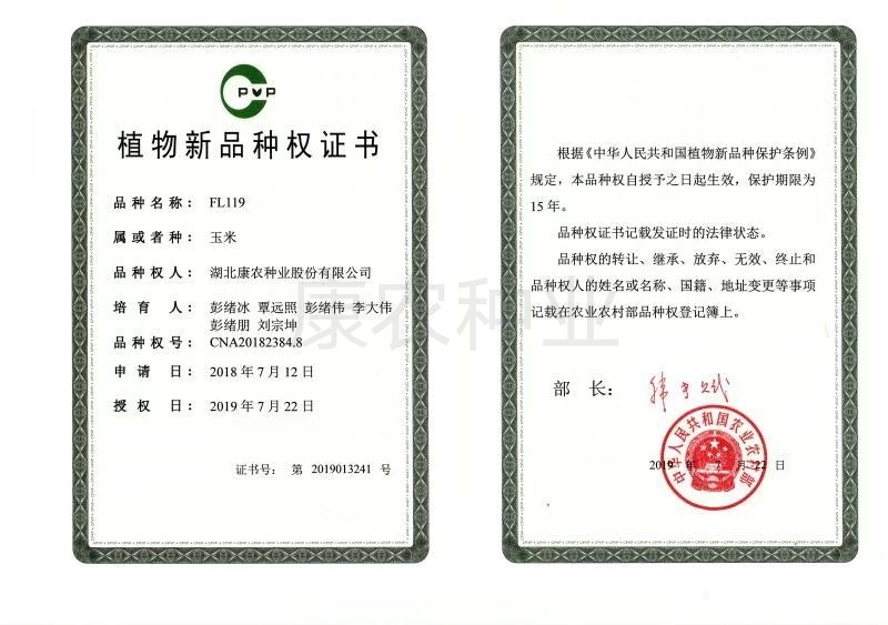 FL119 New Plant Variety Right Certificate